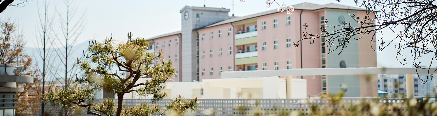 HALLYM VISION 2030 보고서